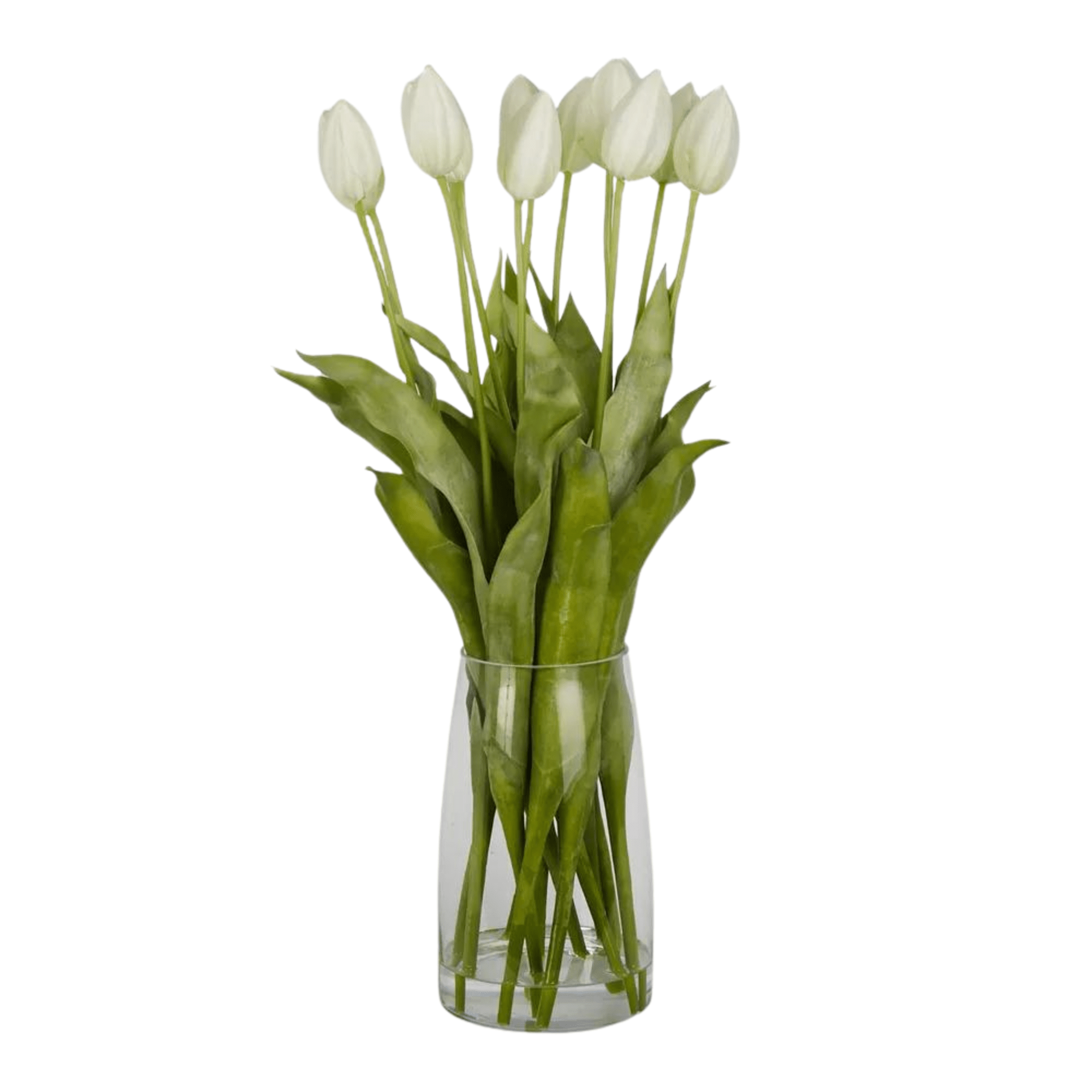 Tulip Fever Ice Bucket Style Vase main image 1