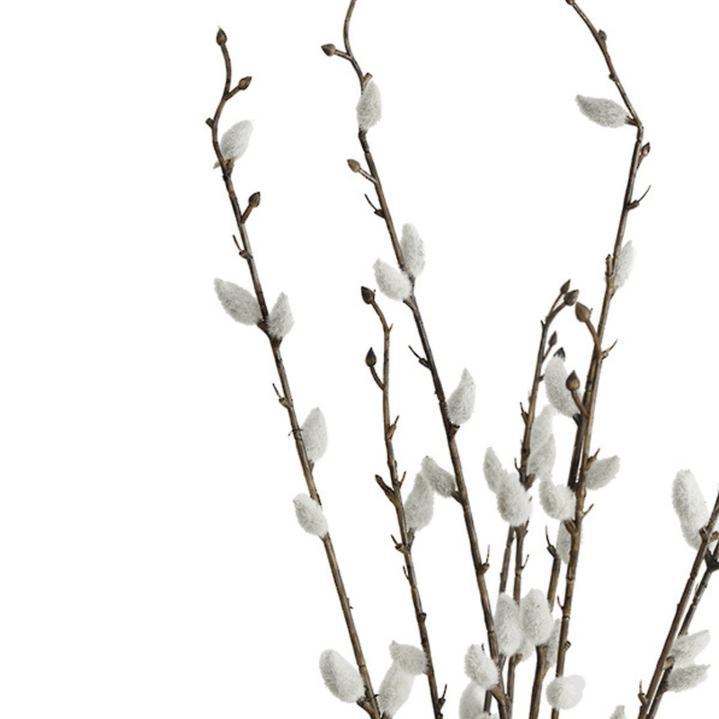 Flower systems Faux Plants Pussy Willow 55cm Bundle of 3