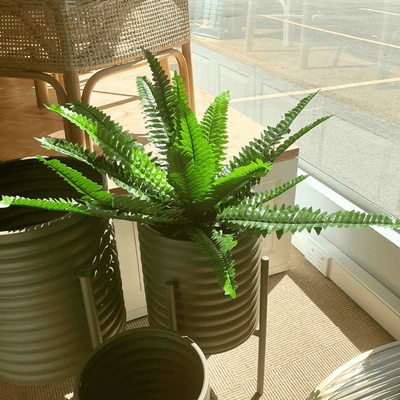 Robert Mark Limited Faux Plants Faux Boston Fern with Pot