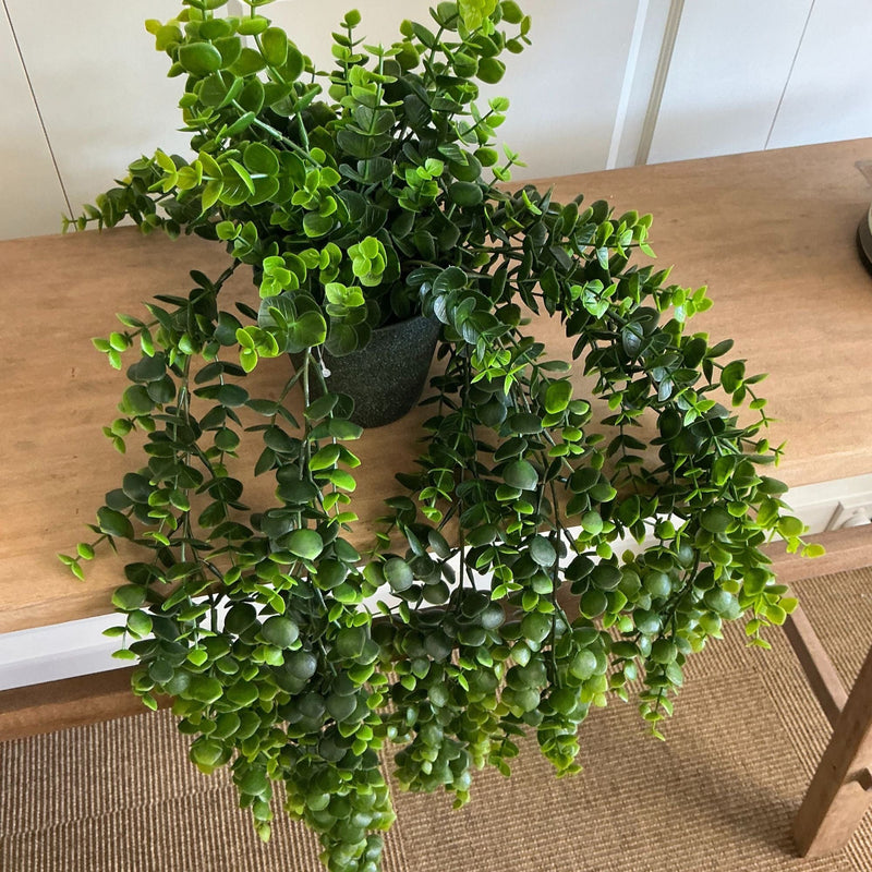 Flower systems Faux Plants Potted Hanging Eucalyptus Green 66cm