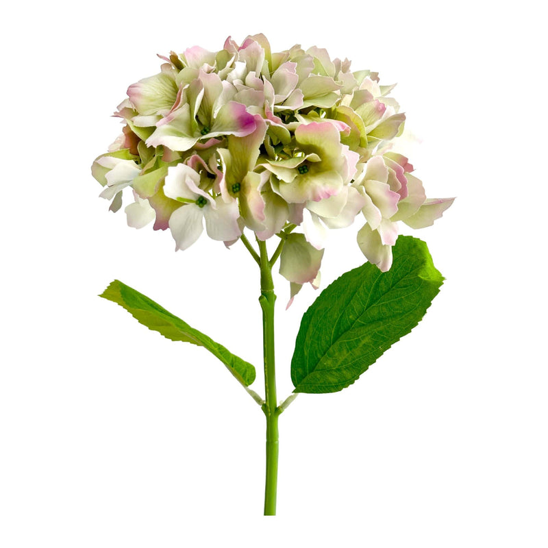 Florabelle Living Florals Hailey Hydrangea Stem Soft Touch 50cm Green