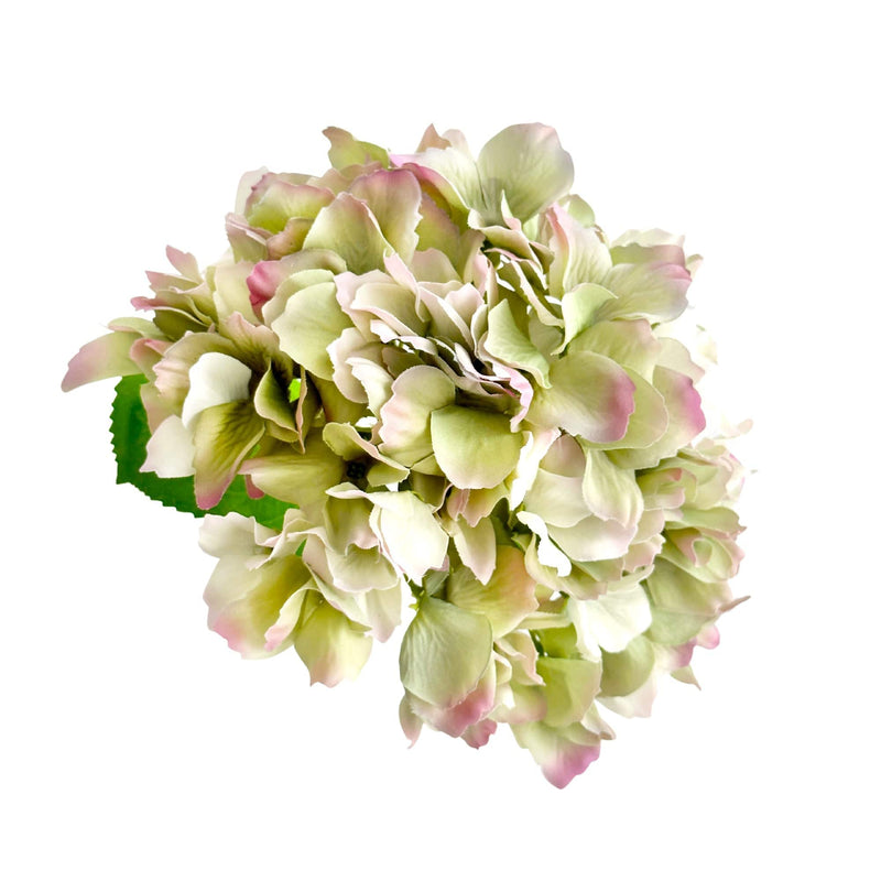 Florabelle Living Florals Hailey Hydrangea Stem Soft Touch 50cm Green