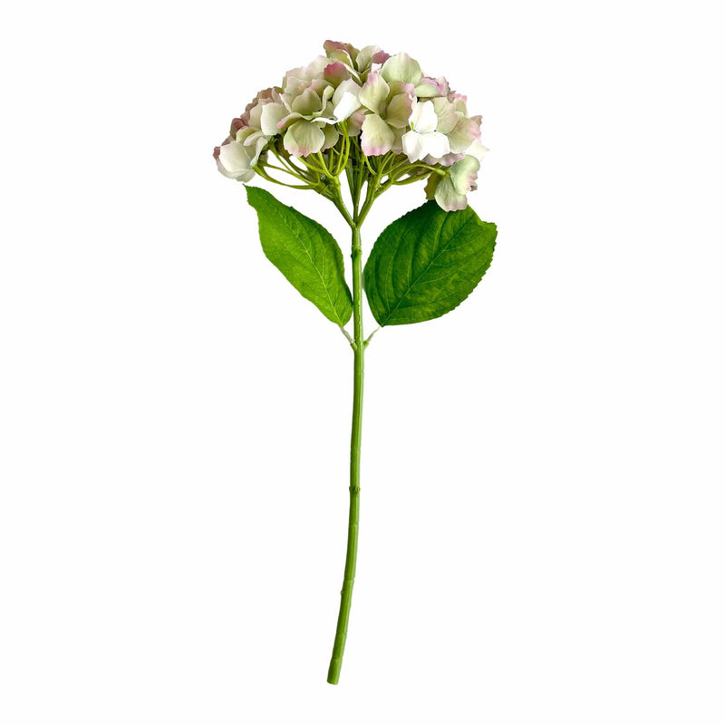 Florabelle Living Florals Hailey Hydrangea Stem Soft Touch 50cm Green