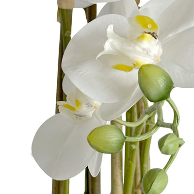 Florabelle Living Florals White Orchid Potted 71cm