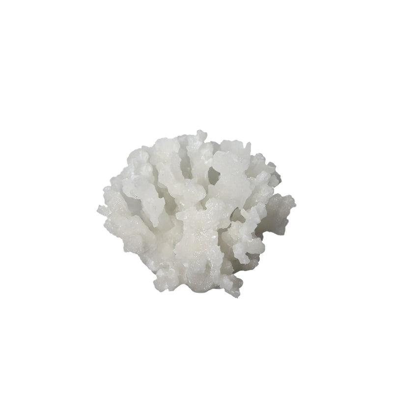 Oneworld Collection accessories Navagio White Coral Ornament L 18.5 cm