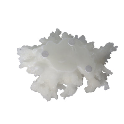 Oneworld Collection accessories Navagio White Coral Ornament L 18.5 cm