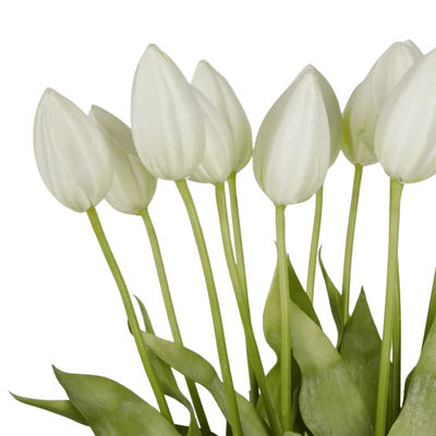 Florabelle Living Artificial-Plants Tulip in Water Vase