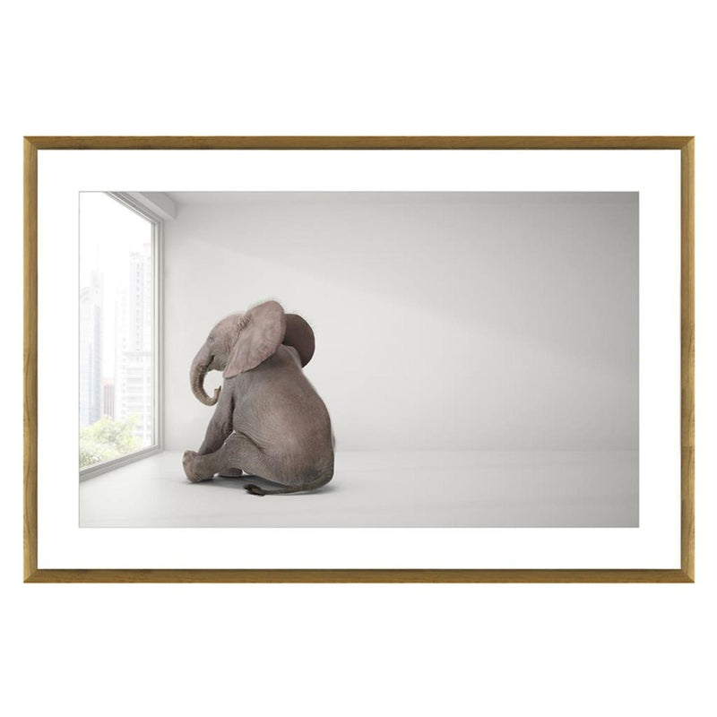 Robert Mark Limited Wall Art Elephant Day Dreams Print