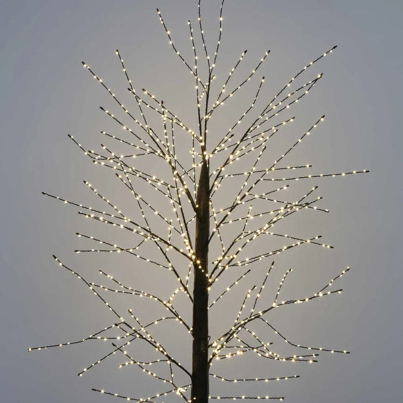 Florabelle Living 150cm Constellation LED Tree Black